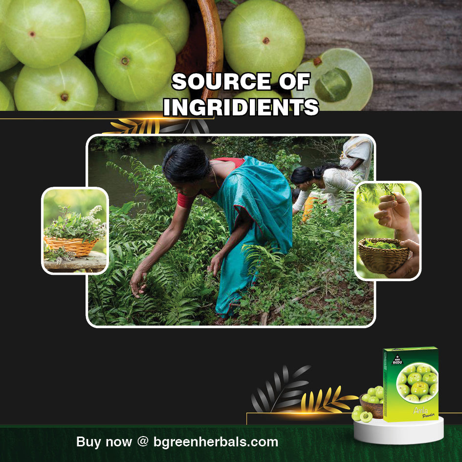 MaaRedu Amla Powder