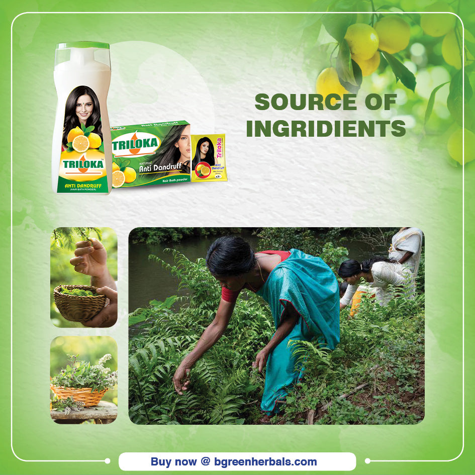 Triloka Anti Dandruff Head Bathing Powder
