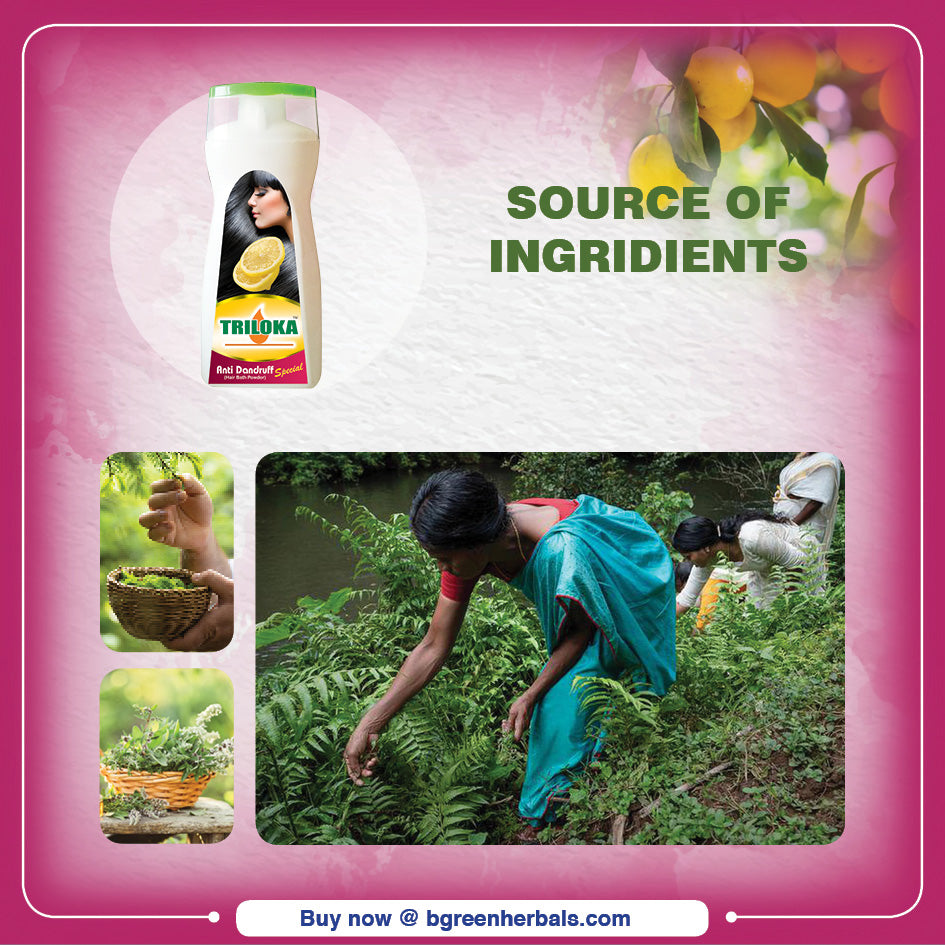 Triloka Anti Dandruff Special Head bathing powder