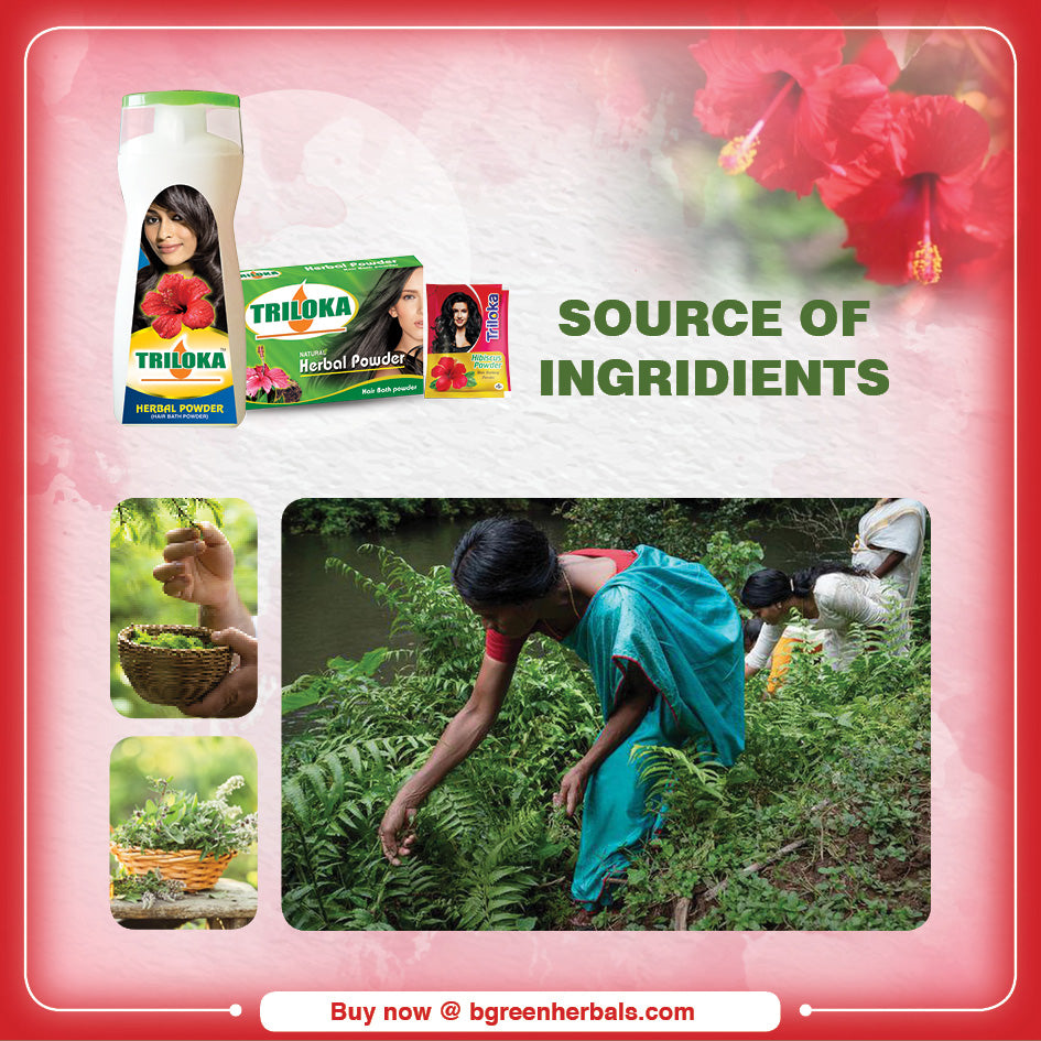 Triloka Hibiscus Head Bathing Powder