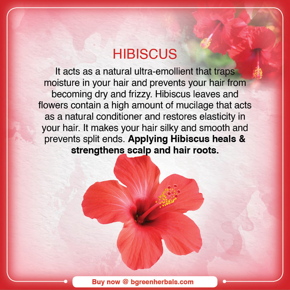 Triloka Hibiscus Head Bathing Powder