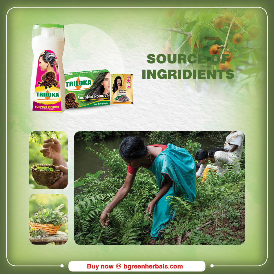 Triloka Reetha(Soapnut) Head Bathing Powder