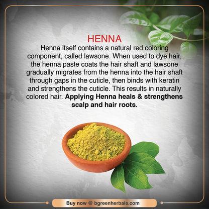 Triloka Hair Henna Powder