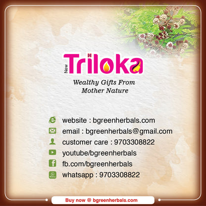 Triloka Shikakai Head Bathing Powder